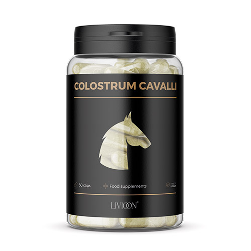 COLOSTRUM CAVALLI